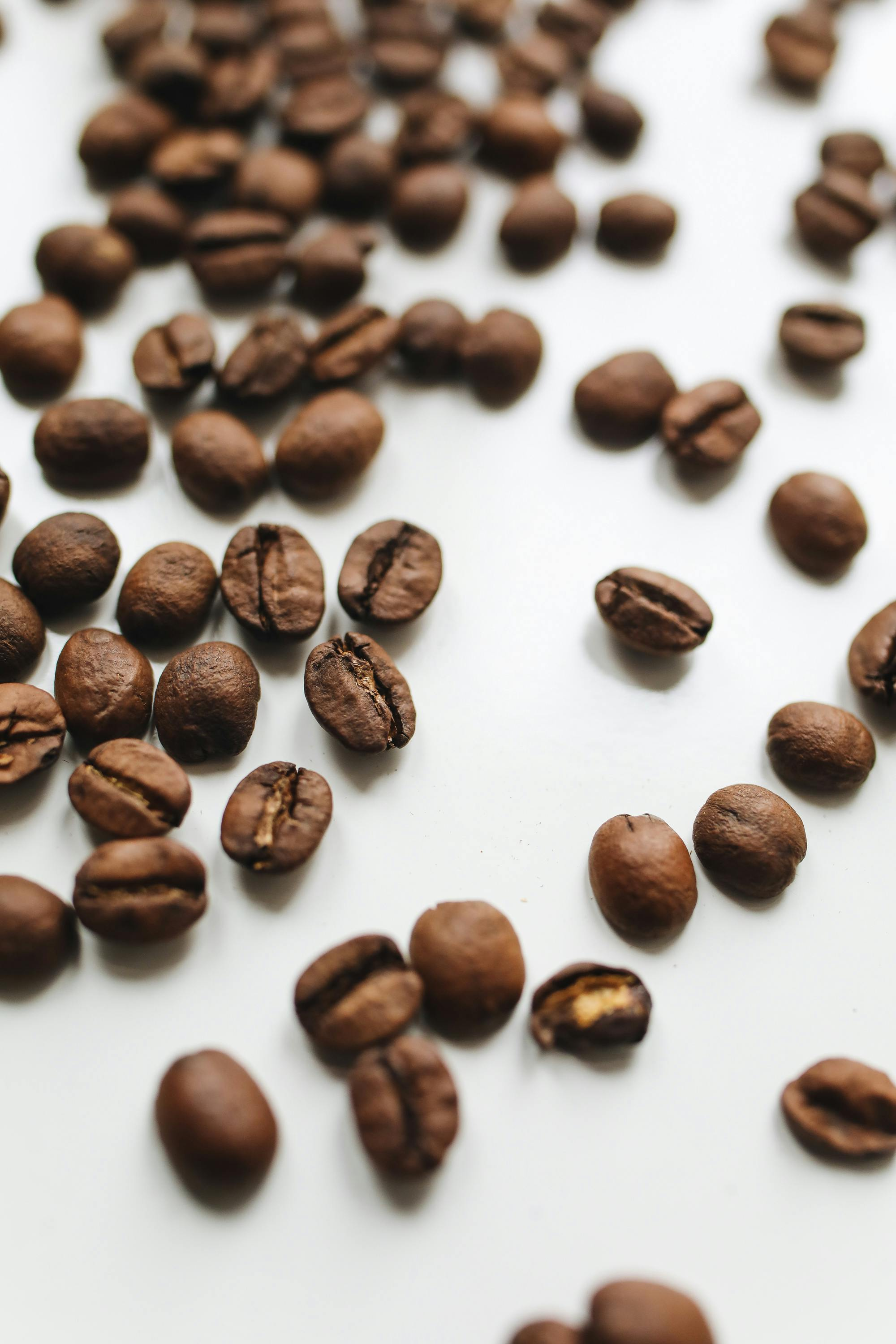 Coffee Beans Accessory Craft Kits