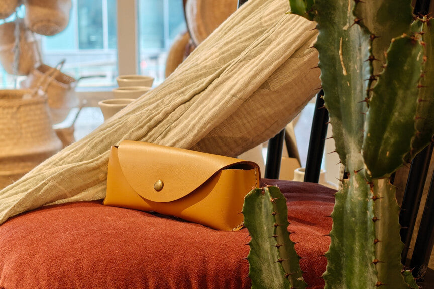 Leather glasses case on a red cushion with a cactus plant in the foreground